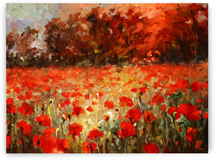 poppy field at sunset  by Vali Irina Ciobanu by vali irina ciobanu