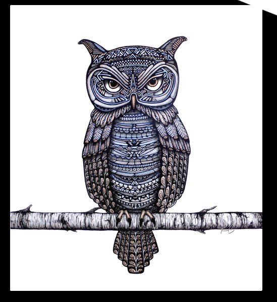 Geo-Owl by Katelynn Clarey