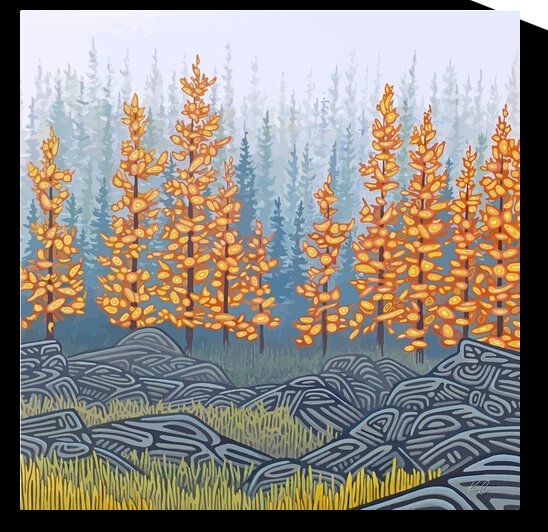 Tamaracks by Katelynn Clarey