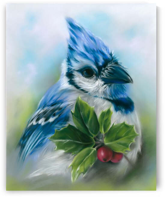 Blue Jay with Holly by MM Anderson