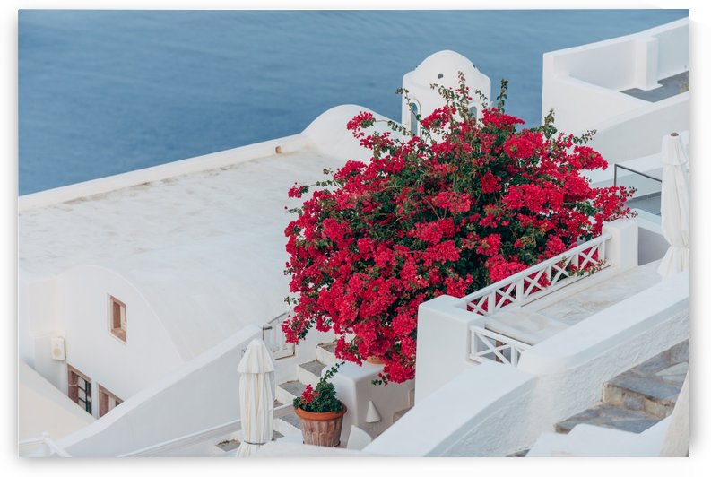 Santorini stuff 68 by Daniel Pazmany