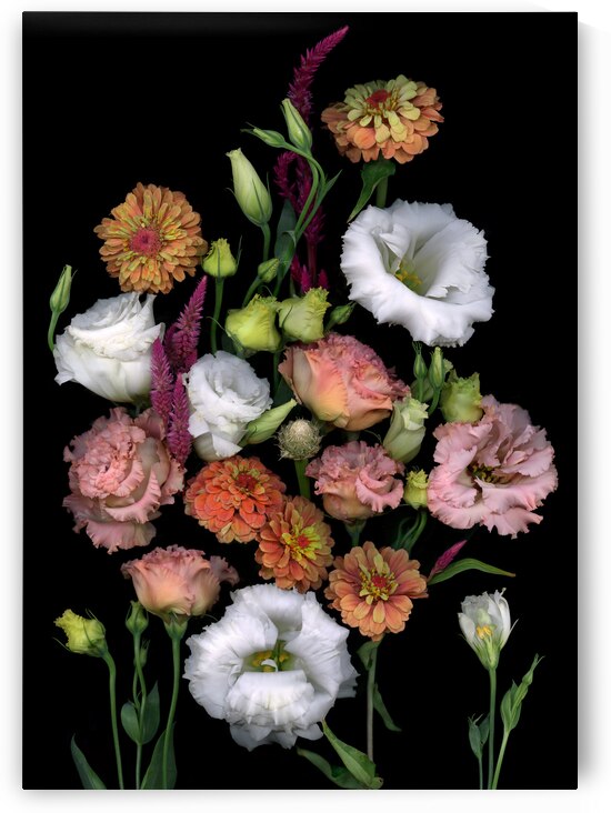 Lisianthus and Zinnias by Jane Baron