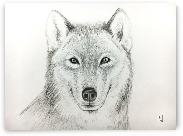 Wolf by Aria