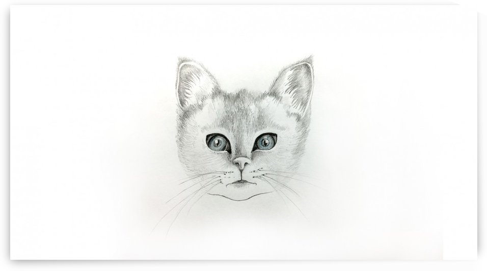 Cat by Aria