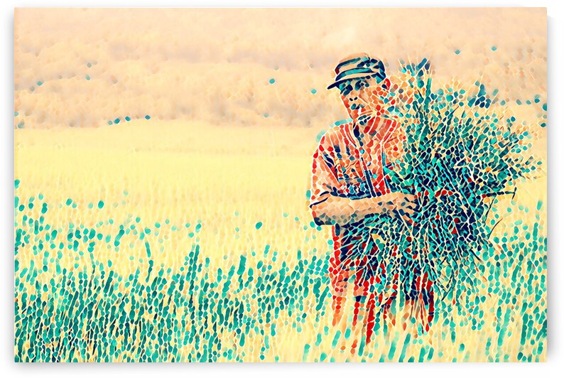 A Field Handling by Paint me Indonesia