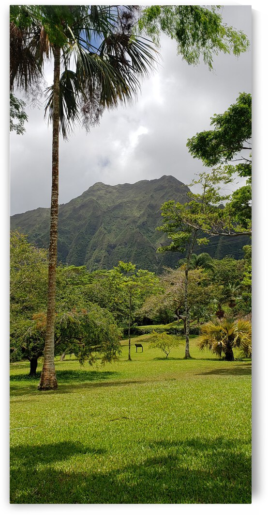 A Jurassic View by Eli Arroyo