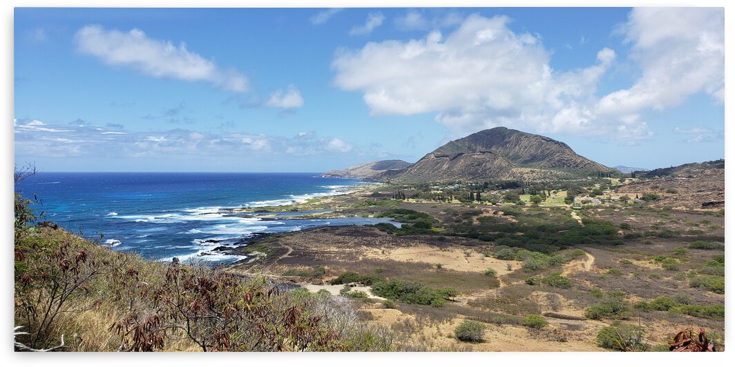 Amazing Coast by Eli Arroyo