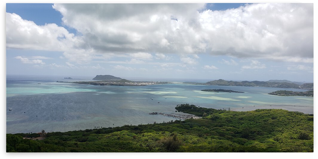 A Day At The Bay by Eli Arroyo