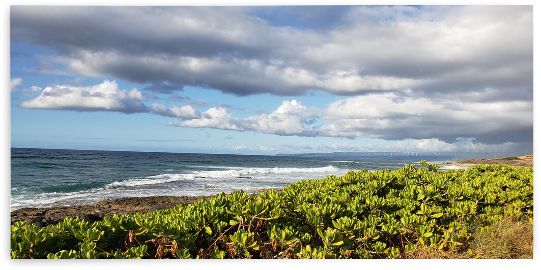 Braving The Waters by Eli Arroyo