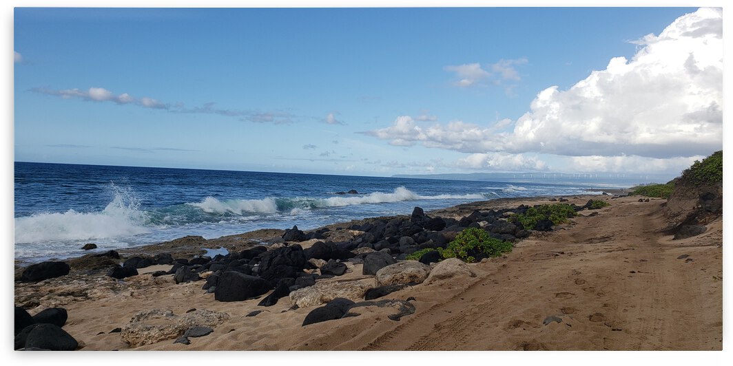 A Rocky Shore by Eli Arroyo