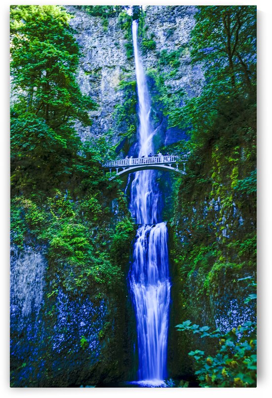 Multnomah Falls in Twilight - Long Exposure   Columbia River Gorge National Scenic Area USA - Waterfall  by 360 Studios
