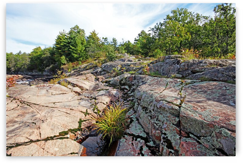 Canadian Shield Landscape French River II by Deb Oppermann