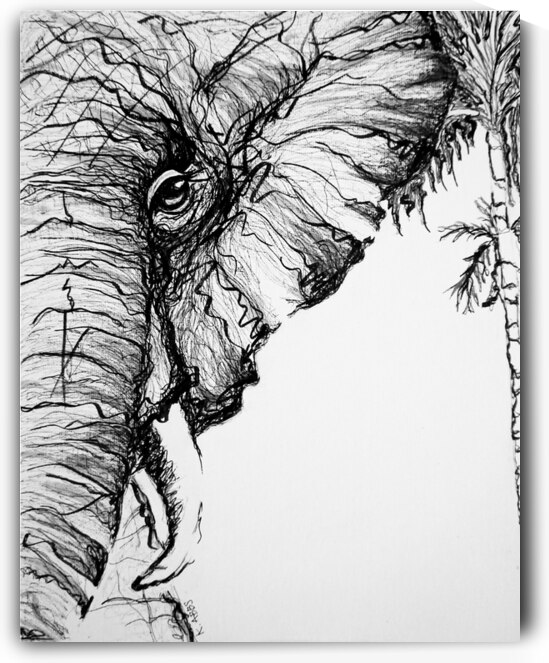 BEAUTY & THE PALM by K ABBS mud ink studio