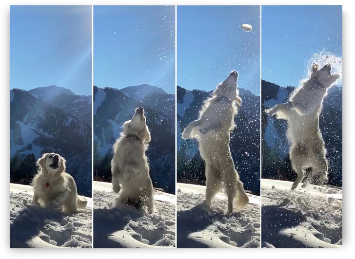 Skyler Hosier   Catching Snowballs by adupont48