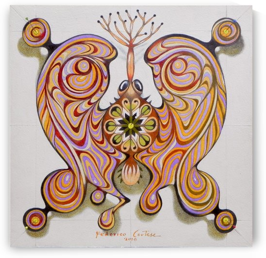 Imperial butterfly by federicocortese