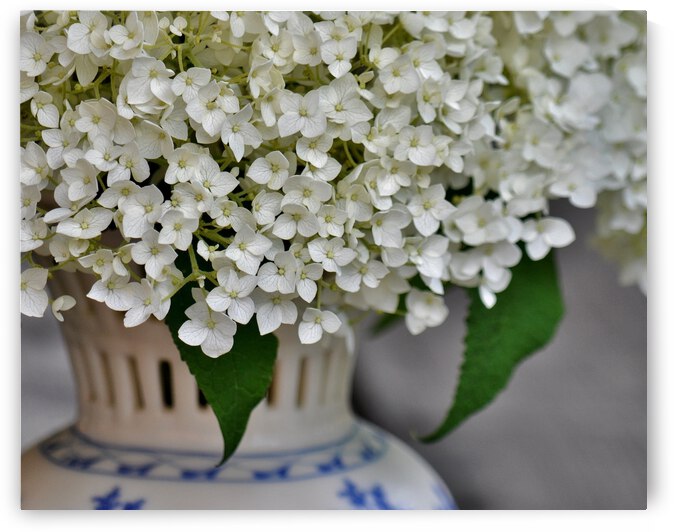 Annabelle by Brenda Lawlor