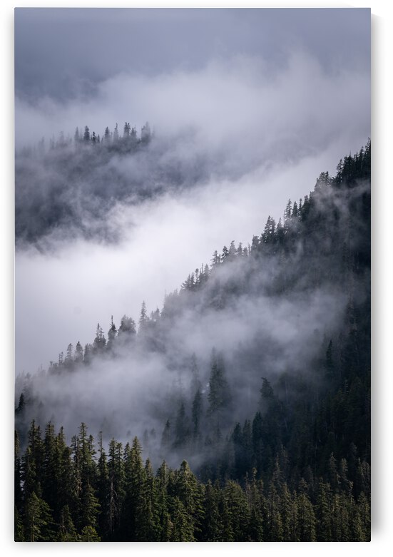 Cascades  by Noah Lang