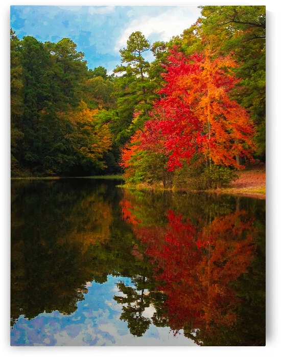 Fiery Maple by Ricky A Richardson 