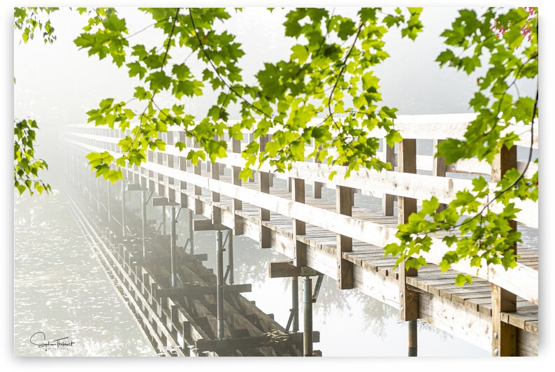 Passerelle hi-key by Sophie Thibault