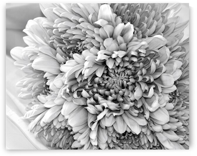 Celebration 2 by Brenda Lawlor