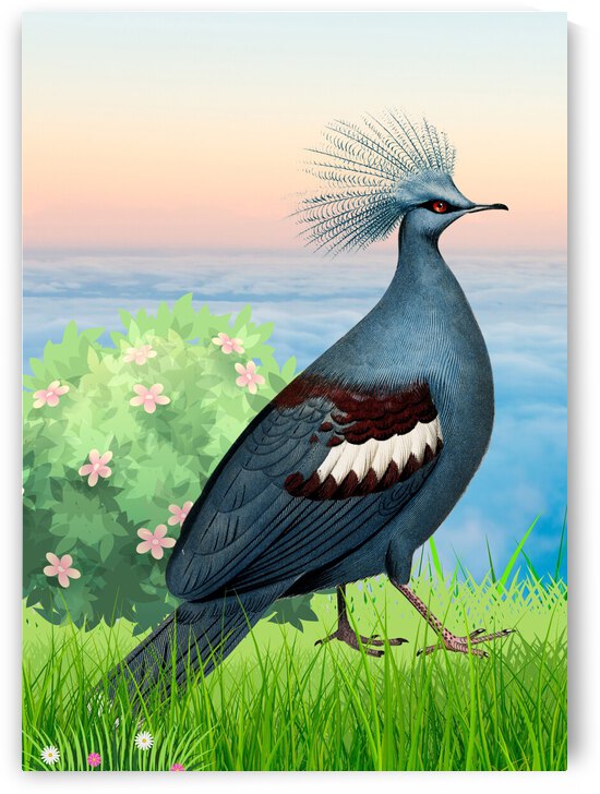 Blue Bird by Ashira Designs