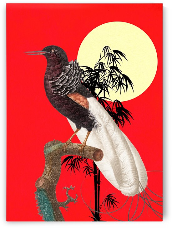 Exotic Bird by Ashira Designs