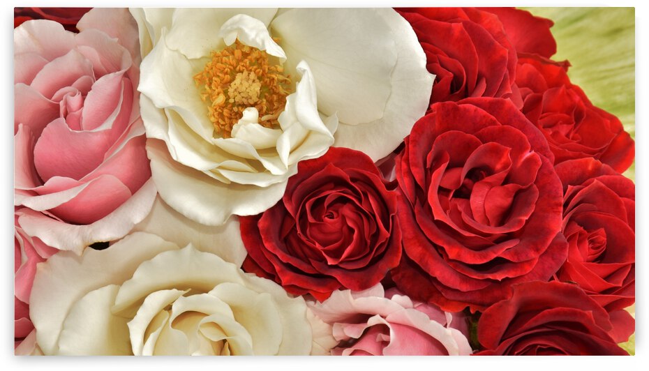 Bountiful Love by Brenda Lawlor