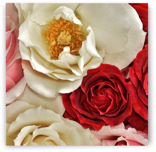 Bountiful Love 2 by Brenda Lawlor