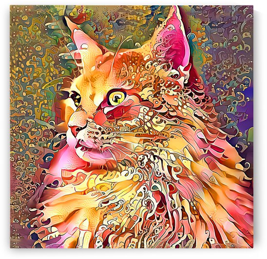 Technicolor Maine Coon by HH Photography of Florida