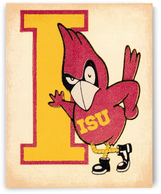 Vintage Iowa State Wall Art by Row One Brand