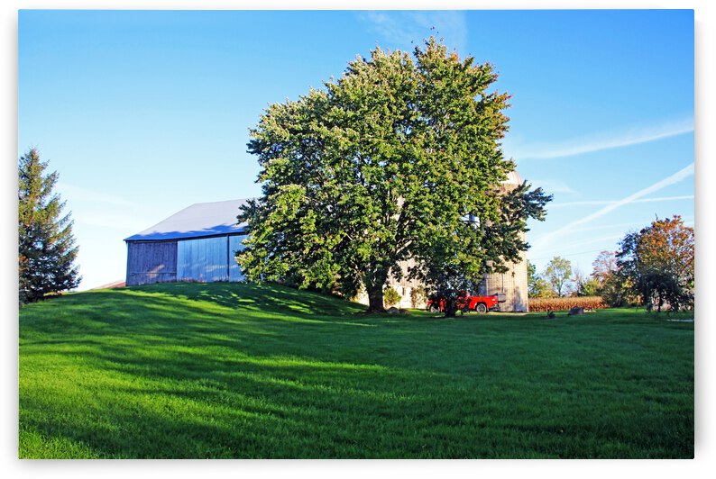 Ariss Farm I by Deb Oppermann