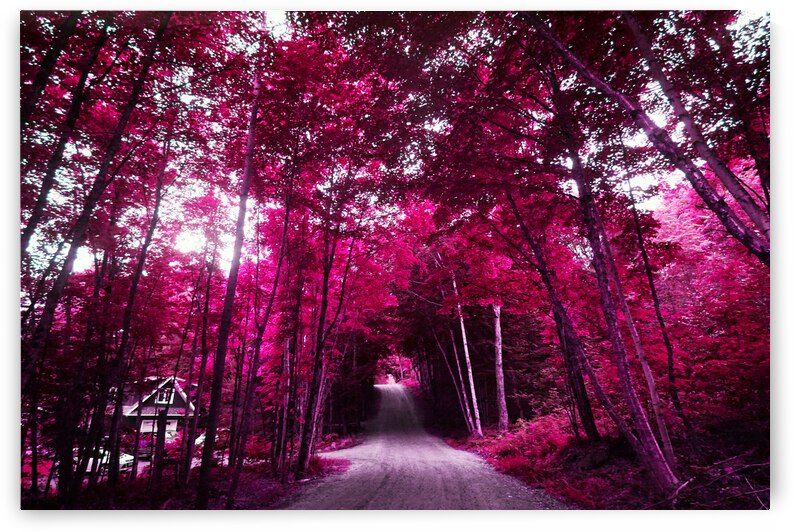 pink lane jpg by Deexibit