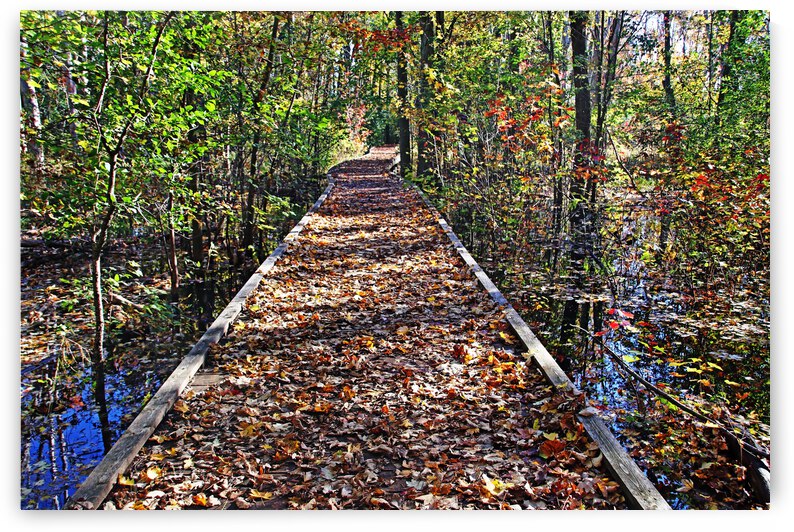 Take A Walk On The Boardwalk In Autumn by Deb Oppermann