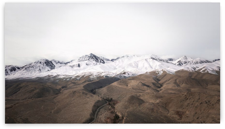 Big Pine Vista by dronesey