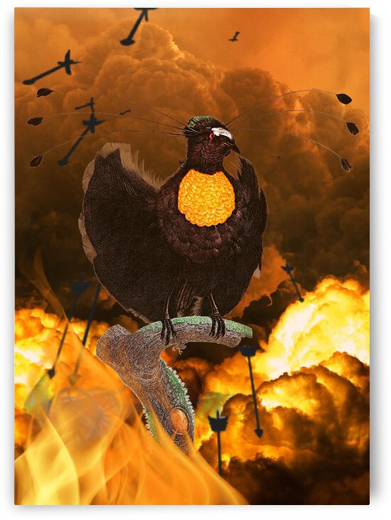 Fire Bird by Ashira Designs