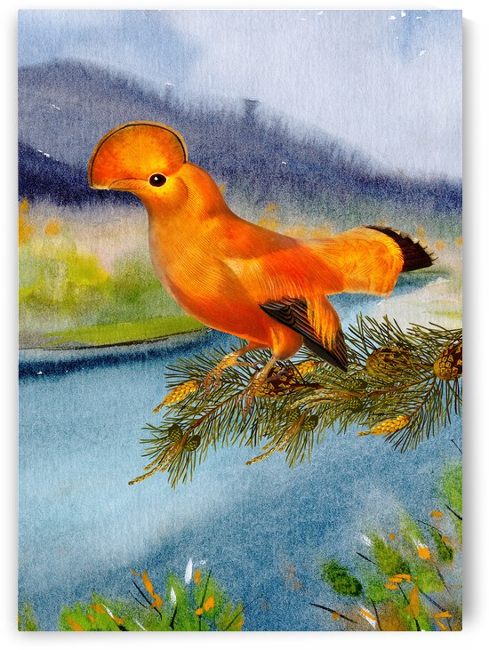 Mohawk Bird by Ashira Designs