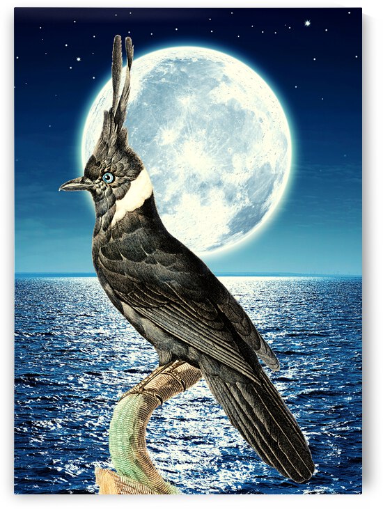Full Moon  by Ashira Designs