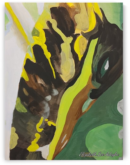 Forest Rain by Elizabeth Lee Adeghe