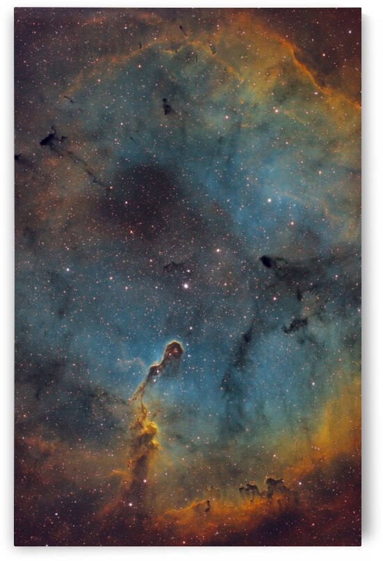 The Elephants Trunk Nebula by RAO Astrophotography