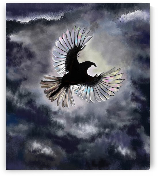 freedom1 by KATAYOUN shokoh