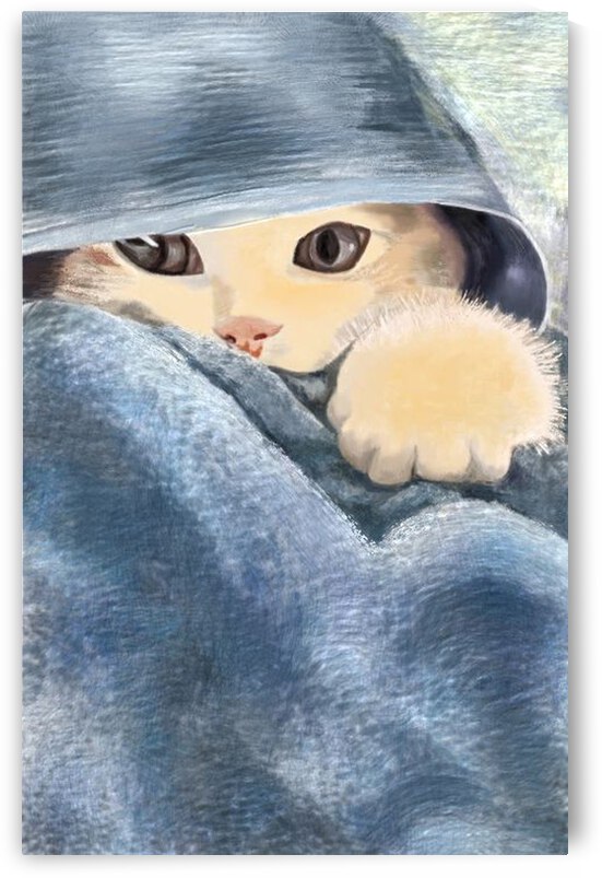 Cute cat by KATAYOUN shokoh