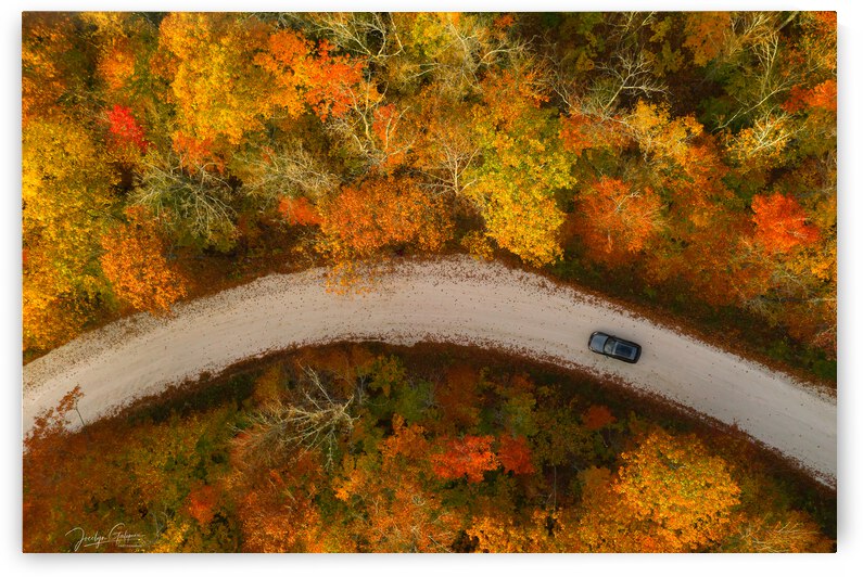 BALADE DAUTOMNE by Jocelyn Galipeau