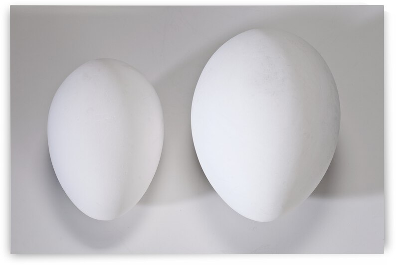 2Eggs by Kerry Romano Zall
