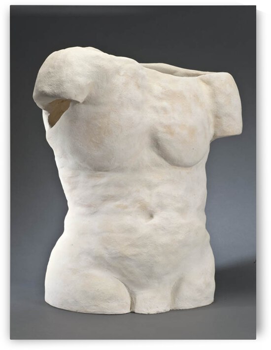 MaleTorso by Kerry Romano Zall