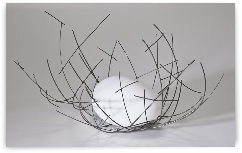 nest1 by Kerry Romano Zall