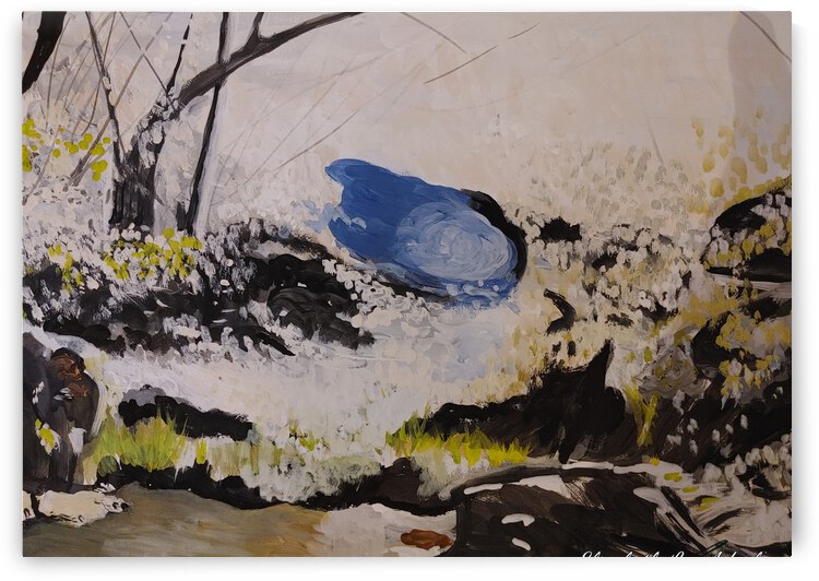 THE WISH POND by Elizabeth Lee Adeghe