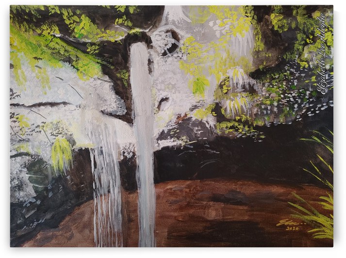 WATER FALL IN THE LAKE POND by Elizabeth Lee Adeghe