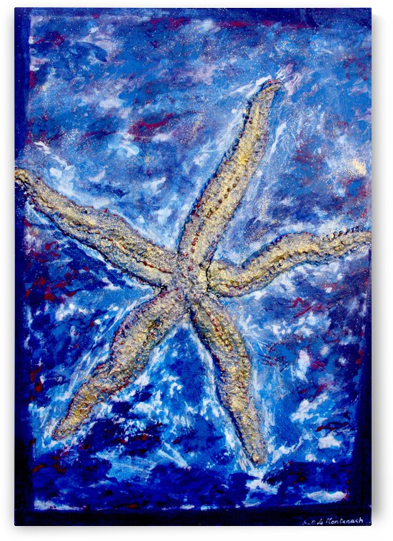 Etoile de mer by Anneda