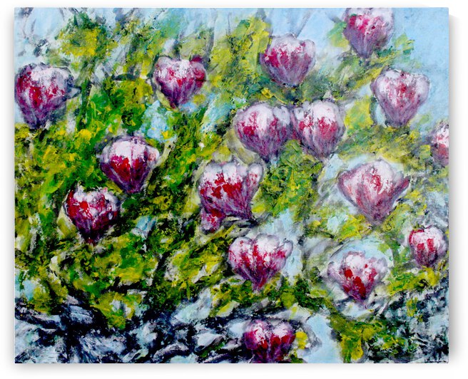 Magnolias by Anneda