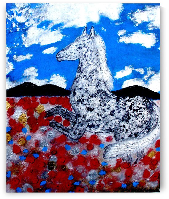 Cheval dans un champ de Coquelicots by Anneda